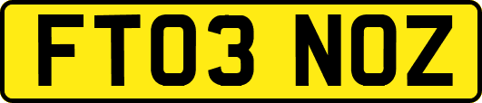 FT03NOZ