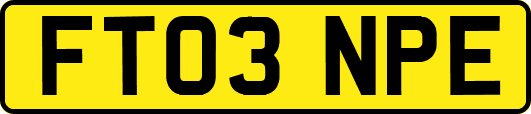 FT03NPE