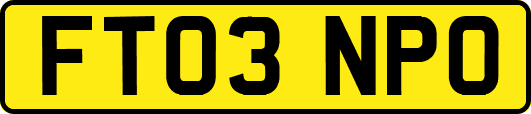 FT03NPO