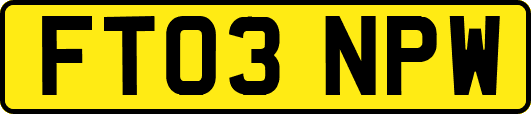 FT03NPW