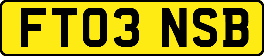 FT03NSB
