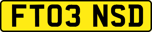 FT03NSD