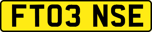 FT03NSE