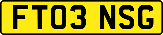 FT03NSG
