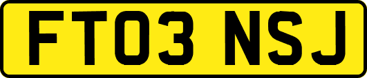 FT03NSJ