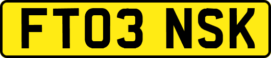 FT03NSK
