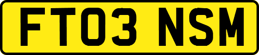 FT03NSM
