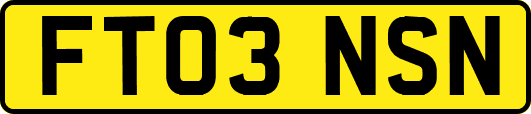 FT03NSN