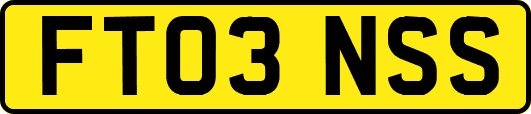 FT03NSS