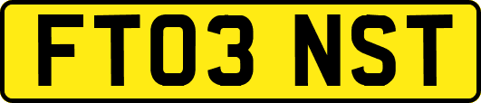 FT03NST