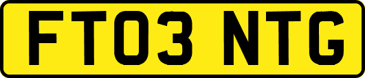 FT03NTG