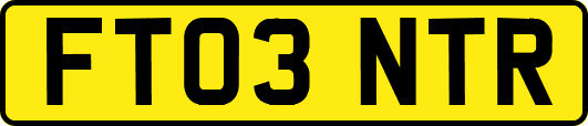 FT03NTR