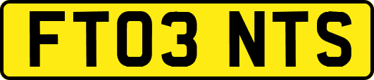 FT03NTS