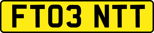 FT03NTT