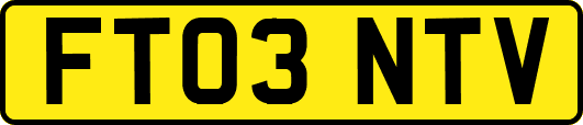 FT03NTV