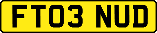FT03NUD