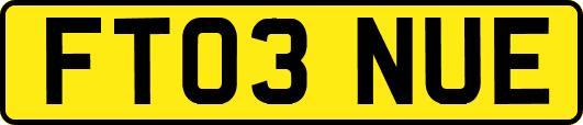 FT03NUE
