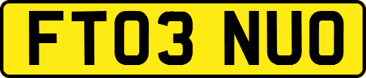 FT03NUO