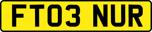 FT03NUR