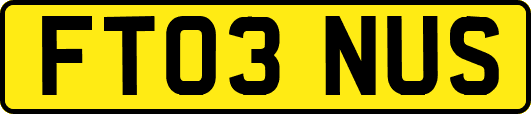 FT03NUS