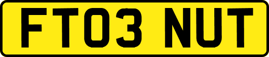 FT03NUT