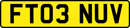 FT03NUV