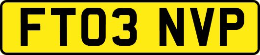 FT03NVP