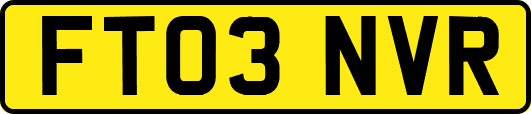 FT03NVR