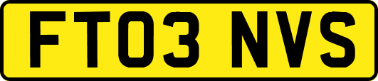 FT03NVS