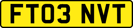 FT03NVT