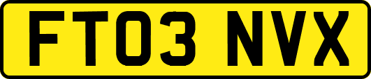FT03NVX