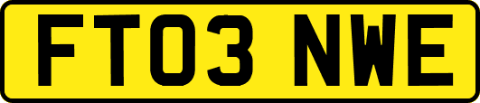 FT03NWE