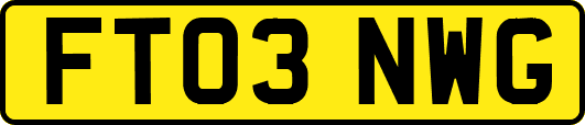 FT03NWG