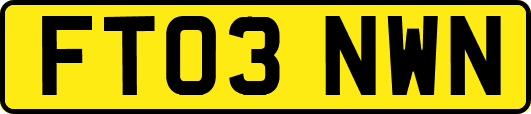 FT03NWN