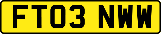FT03NWW