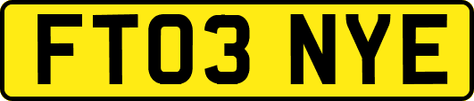 FT03NYE