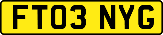 FT03NYG