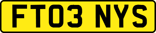 FT03NYS