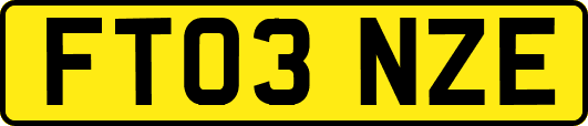 FT03NZE