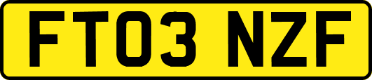 FT03NZF