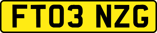 FT03NZG