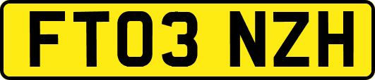 FT03NZH