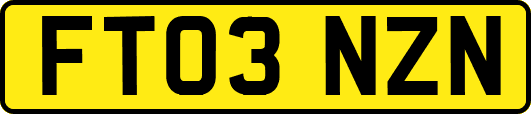 FT03NZN
