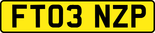 FT03NZP