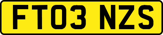 FT03NZS