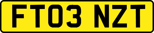 FT03NZT