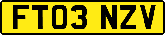 FT03NZV