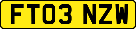 FT03NZW