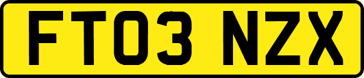 FT03NZX