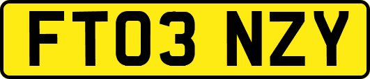 FT03NZY